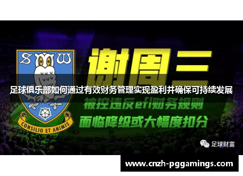 足球俱乐部如何通过有效财务管理实现盈利并确保可持续发展