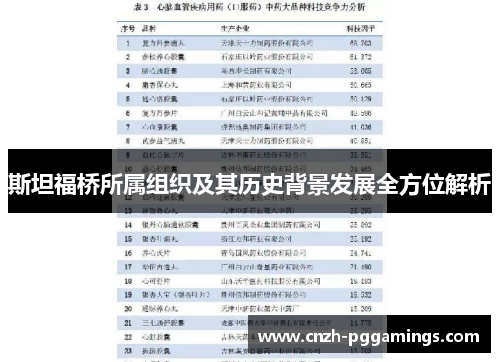 斯坦福桥所属组织及其历史背景发展全方位解析