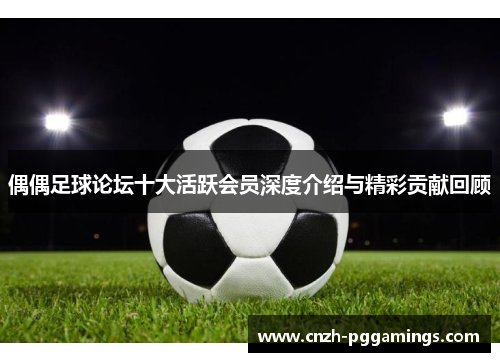 偶偶足球论坛十大活跃会员深度介绍与精彩贡献回顾