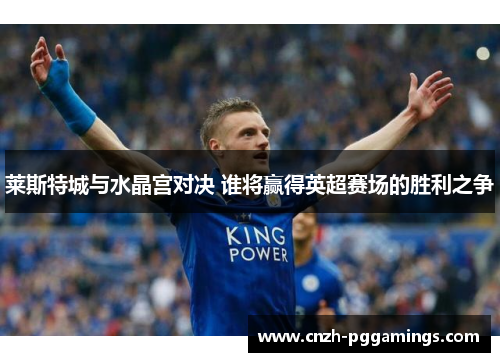 莱斯特城与水晶宫对决 谁将赢得英超赛场的胜利之争