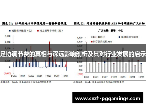 足协调节费的真相与深远影响剖析及其对行业发展的启示 足协调节费的真相与深远影响剖析及其对行业发展的启示