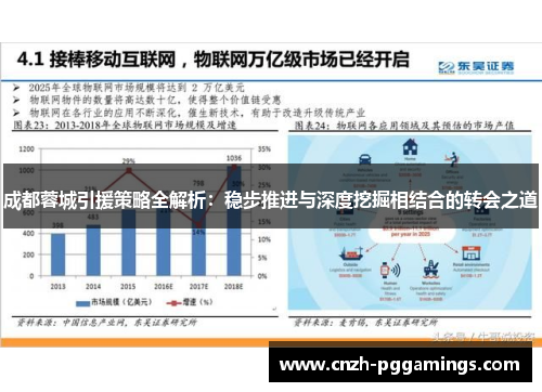 成都蓉城引援策略全解析：稳步推进与深度挖掘相结合的转会之道