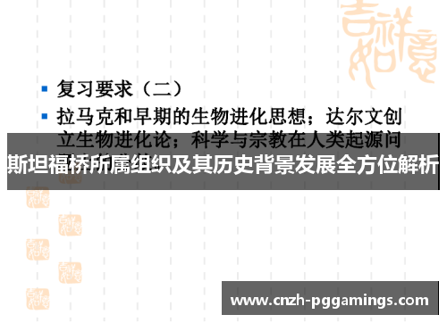 斯坦福桥所属组织及其历史背景发展全方位解析