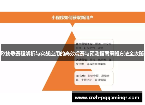 欧协联赛程解析与实战应用的高效观赛与预测指南策略方法全攻略