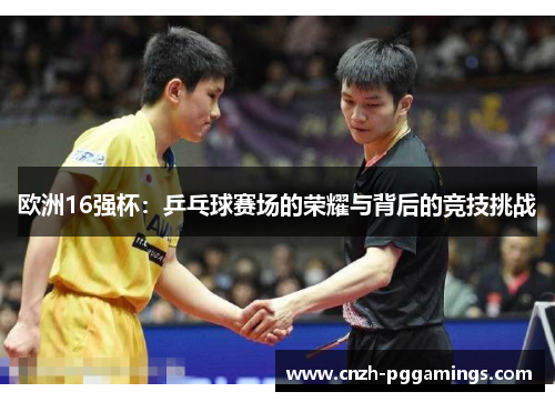 欧洲16强杯：乒乓球赛场的荣耀与背后的竞技挑战