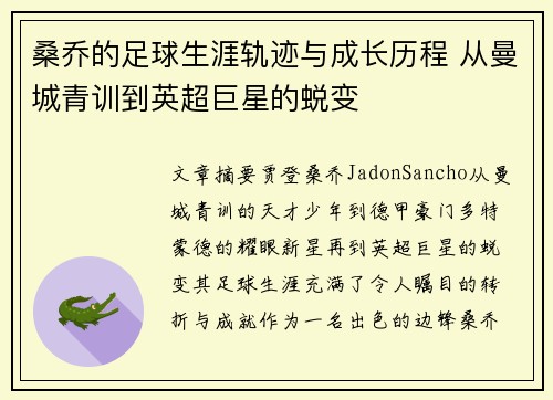 桑乔的足球生涯轨迹与成长历程 从曼城青训到英超巨星的蜕变